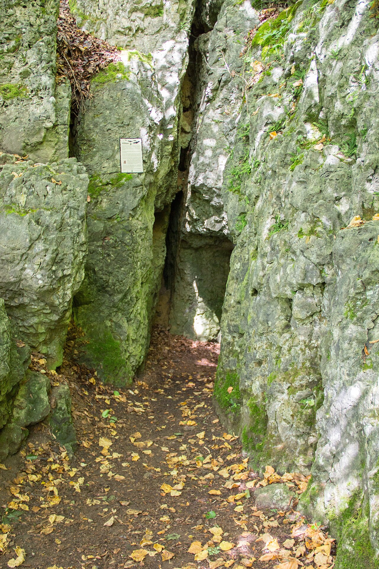 Rosenmüllerhöhle, Muggendorf, Eingang