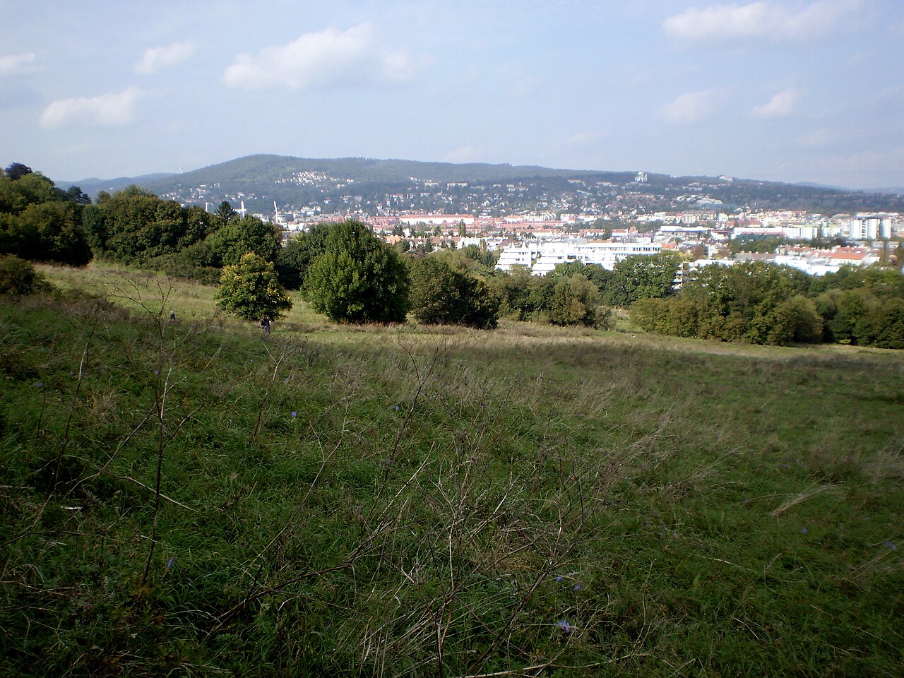 Blick vom Nordhang des Roten Bergs Richtung des 14