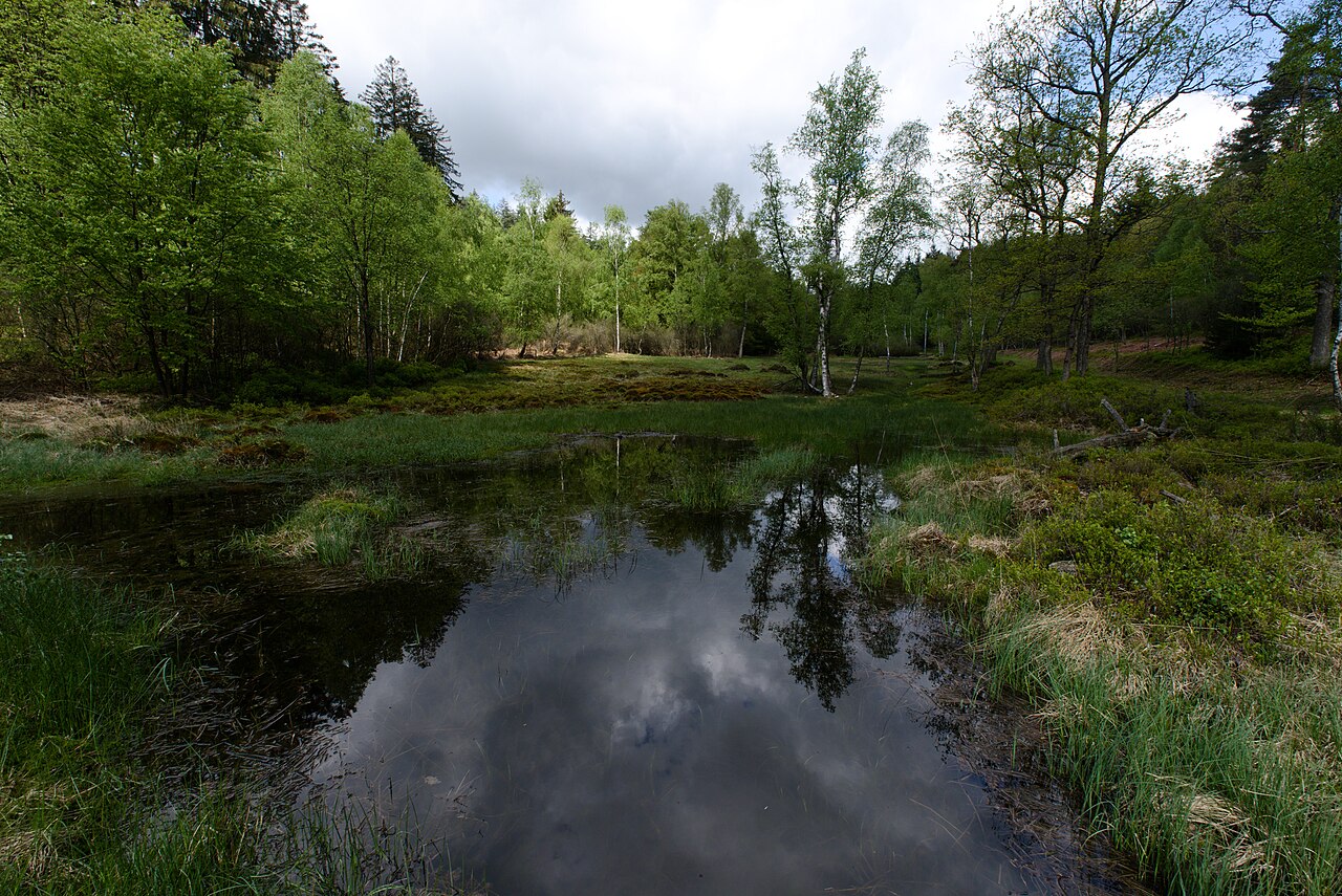 Ein natürlicher kleiner See gespeist vom "Roten Wasser von Olfen"
