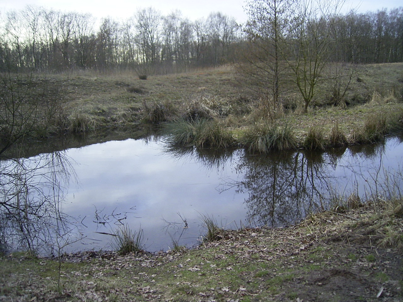 Foto von Rothsteinsmoor