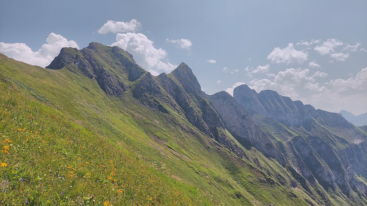 Foto von Rotkopf