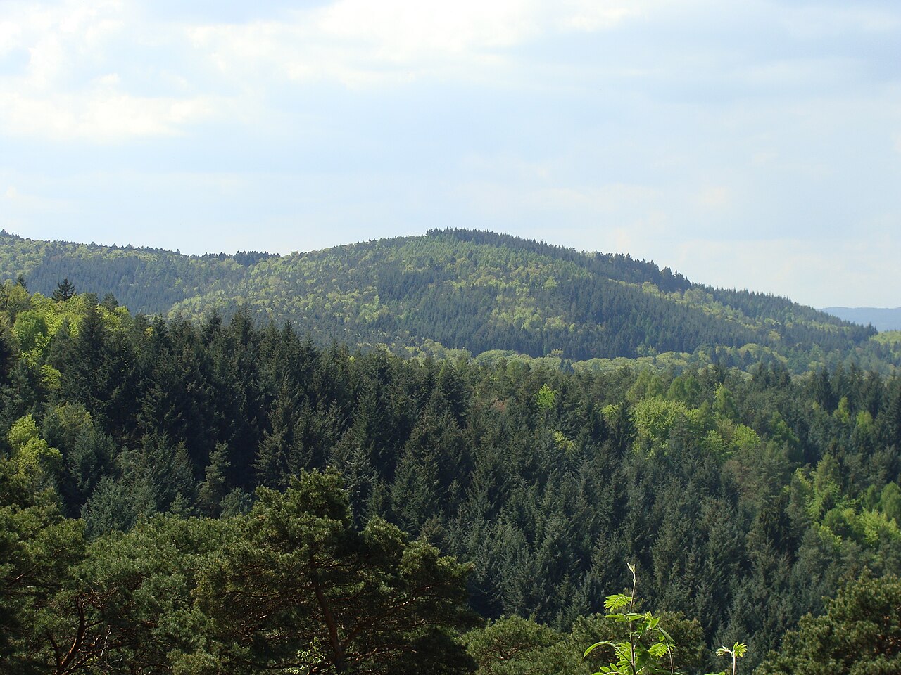 Rotsohlberg im Pfälzerwald - Blick vom Hahnenschritt
