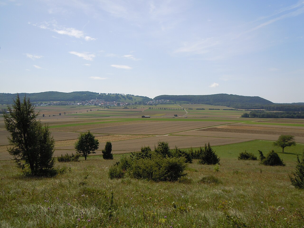 Wacholderheide am Südwesthang des Ruchbergs