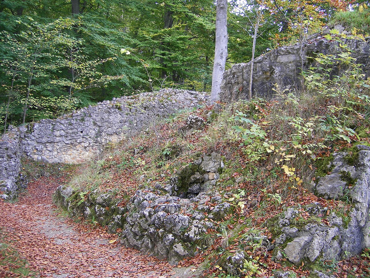Teil der Burgruine Alter Lichtenstein mit Teilen des Bergfrieds, der Zisterne und Umfriedungsmauern