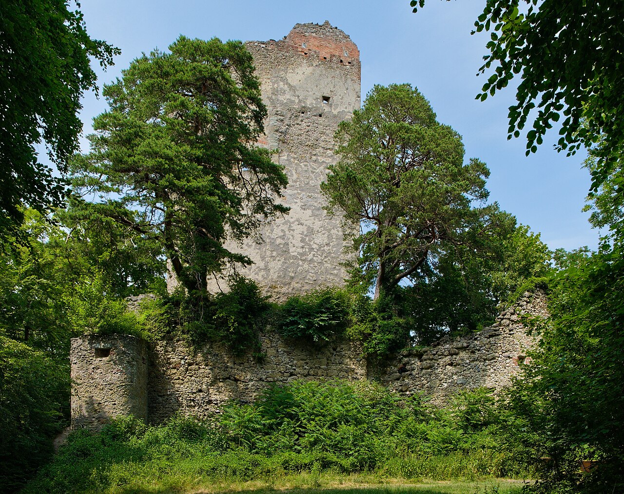 The castle ruin "Altbodman" near Bodman at Lake Constance as seen from southern direction