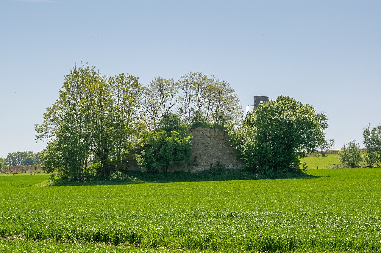 Mittelalterliche Wohnturmruine im Asseler Feld bei Warburg-Ossendorf
