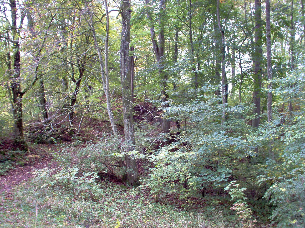 Standort der Ruine Bittelschieß