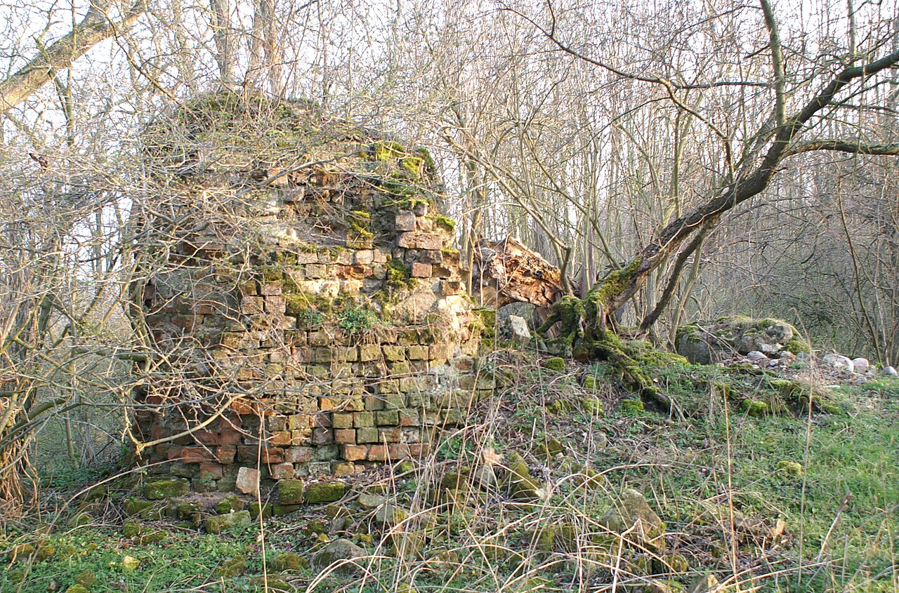 Ruine der Burg Conerow in der Tollenseniederung