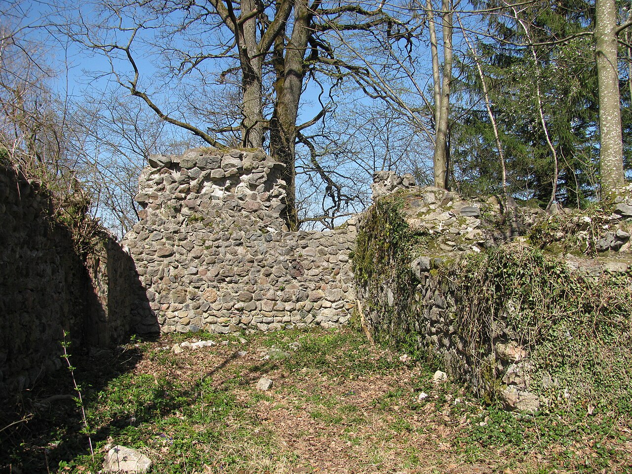 Germany - Baden-Württemberg - Bodenseekreis - Neukirch: Ebersberg´s ruins