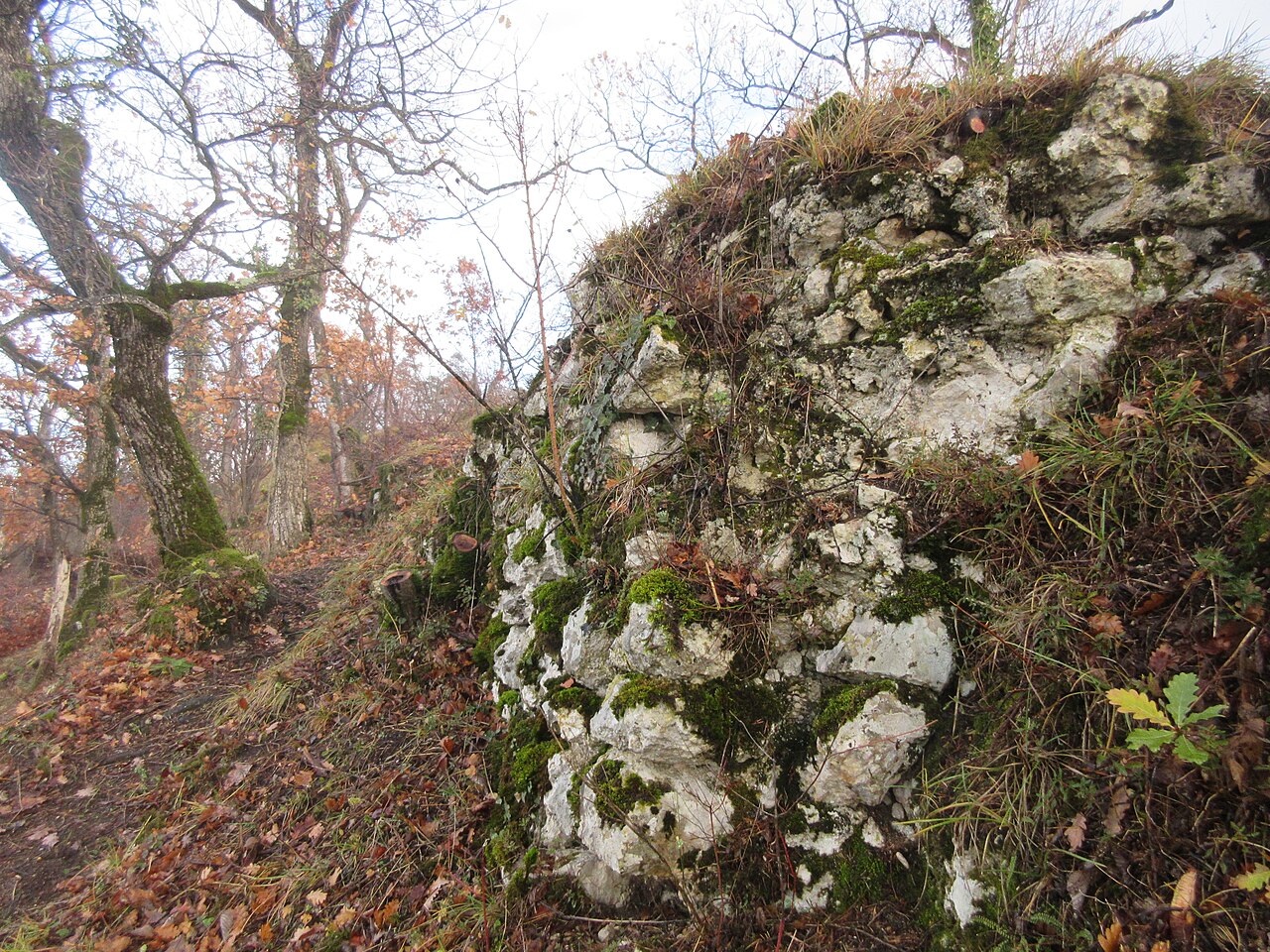 Mauerreste der Ruine "Äußere Birseck" vom Süden her gesehen