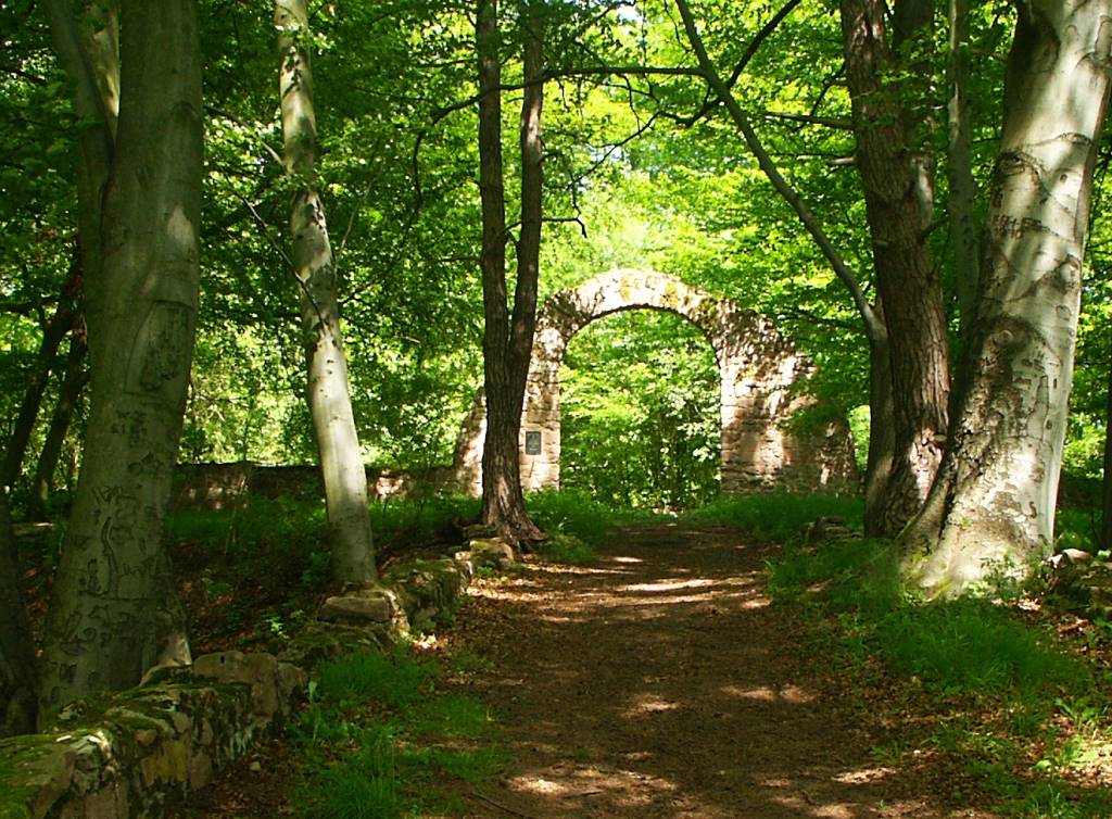 Ruine des Torbogens des Jagdschlosses Blumenstein mit Zufahrtsweg