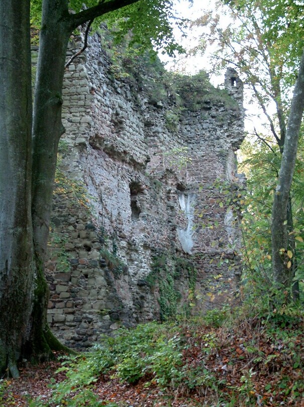 Burgruine Kargegg in Baden-Württemberg, nordöstlich der Insel Mainau am Bodensee
