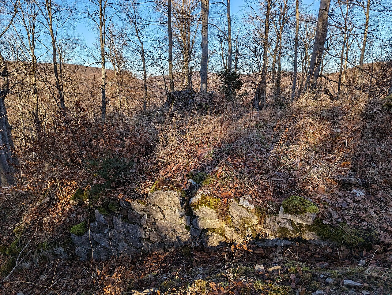 Mauerrest an der Burgstelle
