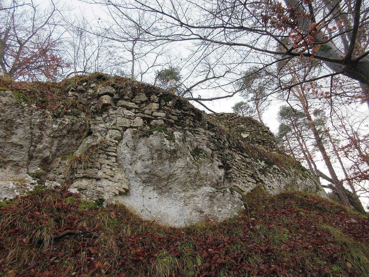 Reste von Mauern der Ruine Hintere Birseck vom Norden her gesehen