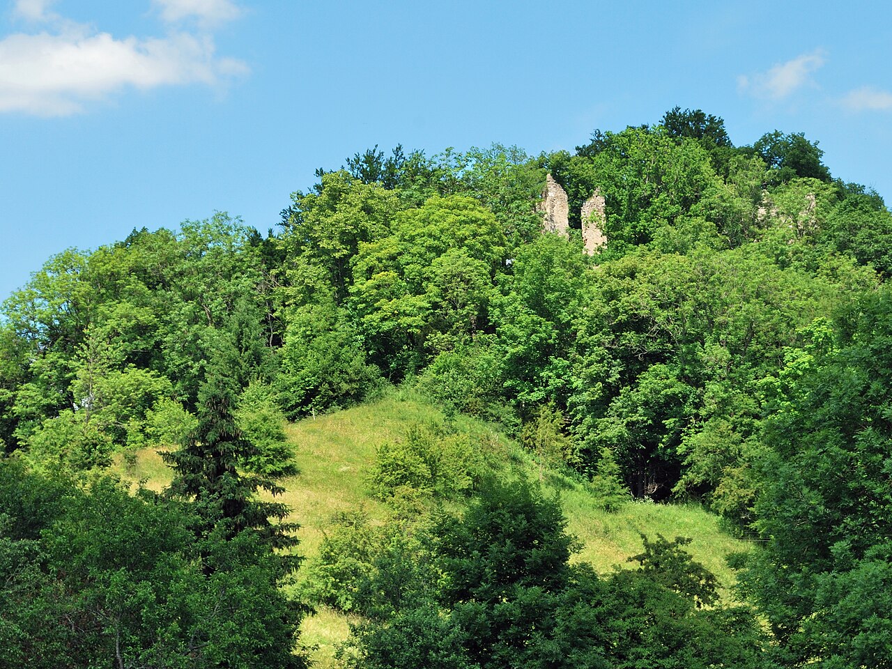 Castle ruin Neckarburg near Rottweil , federal state Baden-Württemberg in Southern Germany