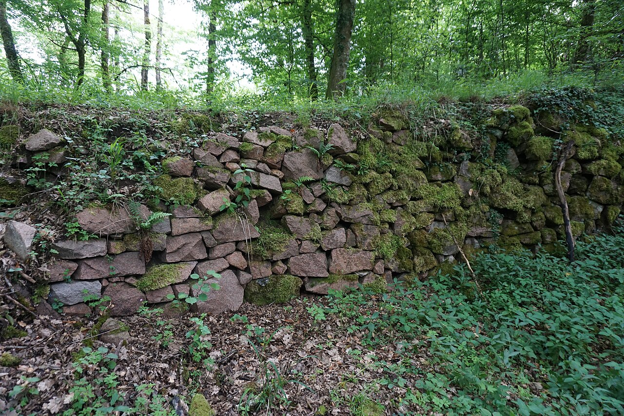 Mauerreste der Burg Neu-Waldeck bei Tegernau im Kleinen Wiesental