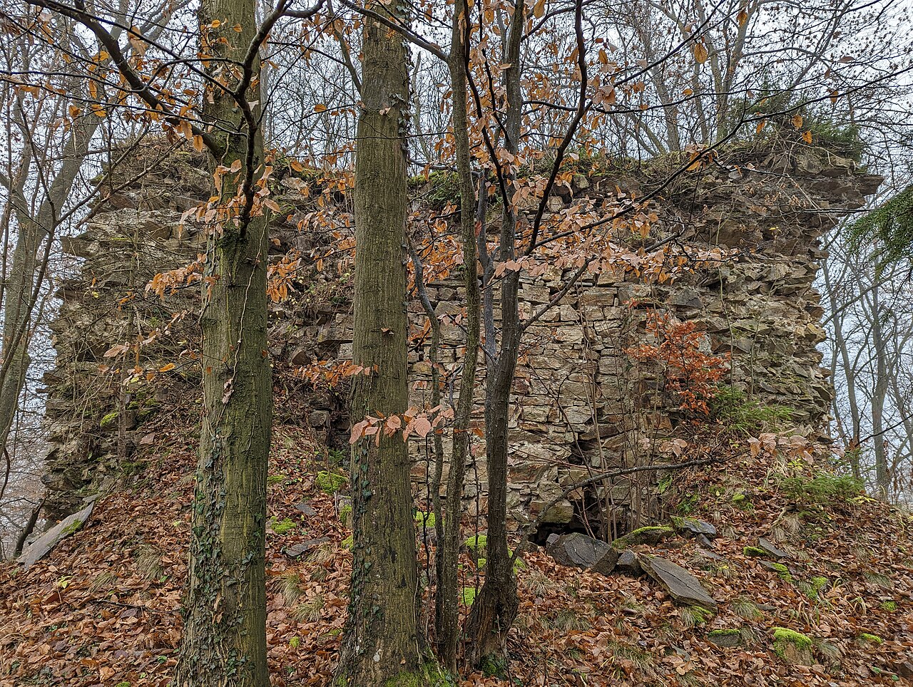 Mauerreste von Norden