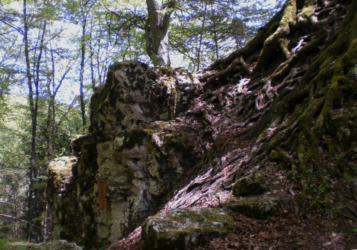 Burgstätte Wallenburg oberhalb des Ursentals bei Dürbheim