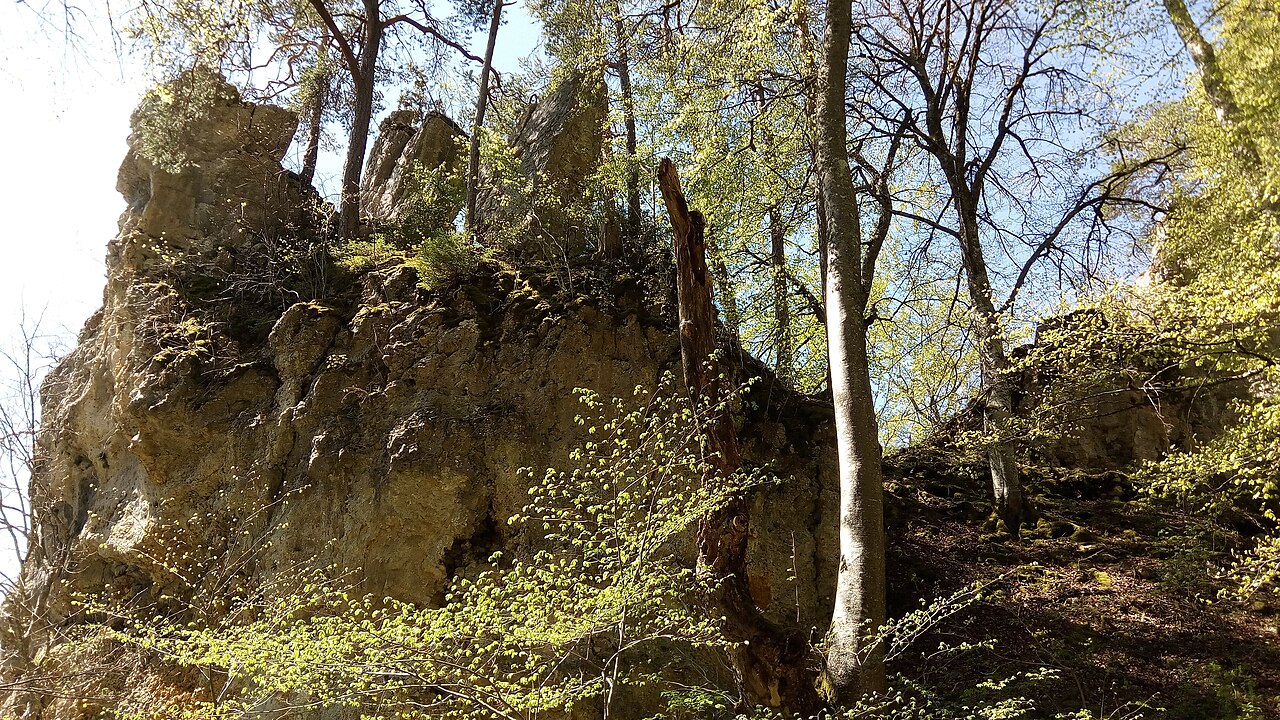 Burgfels in Kolbingen