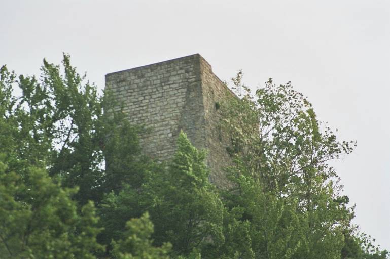 Ruine Wartstein im Lautertal (Deutschland)