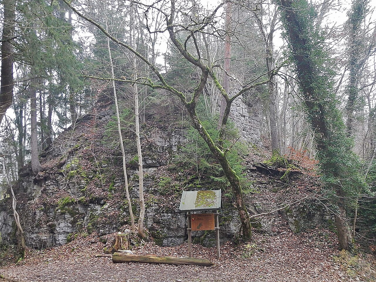 Ruine Wildenstein: 13