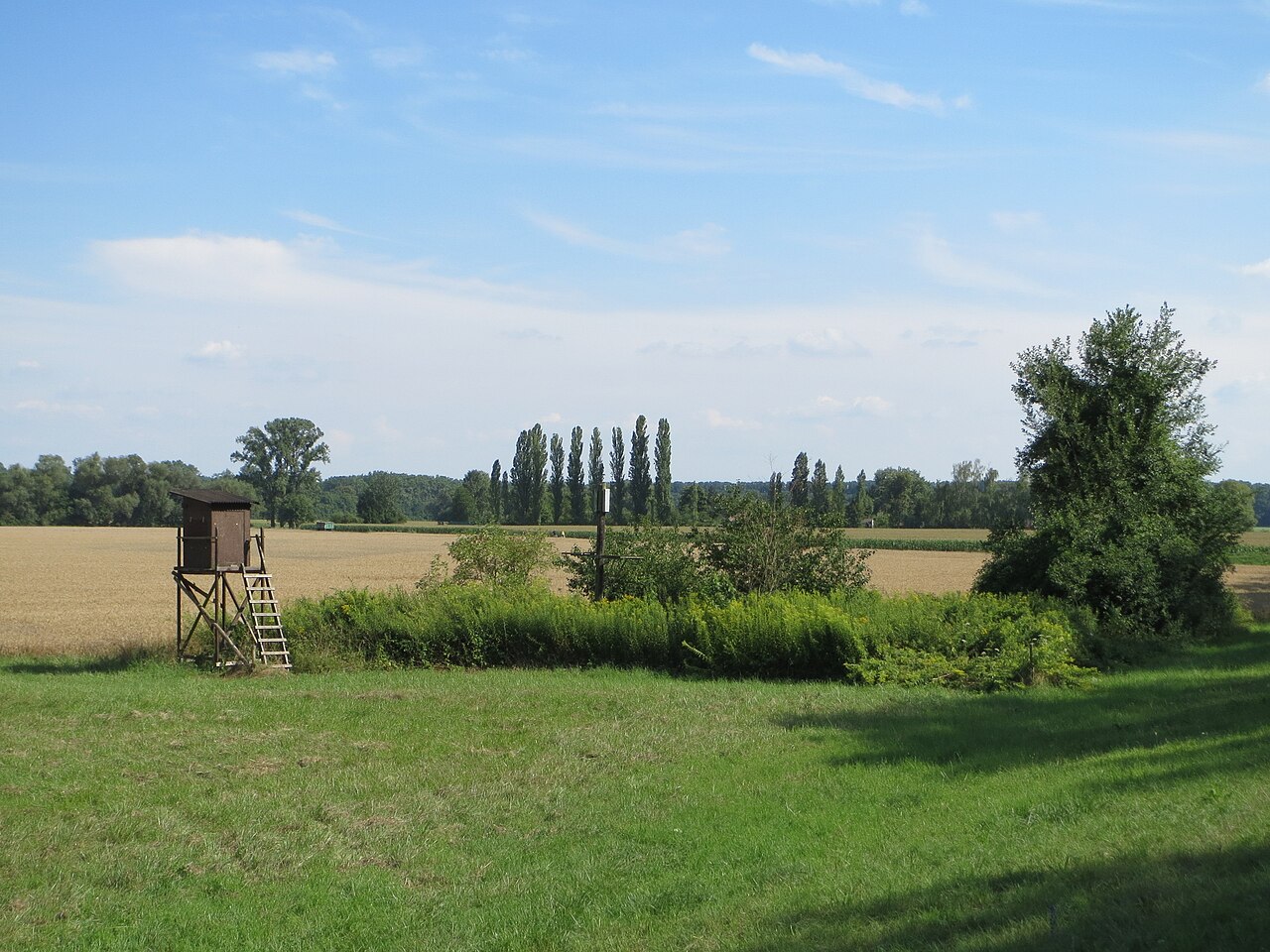 Naturschutzgebiet Rußheimer Altrhein und Elisabethenwört