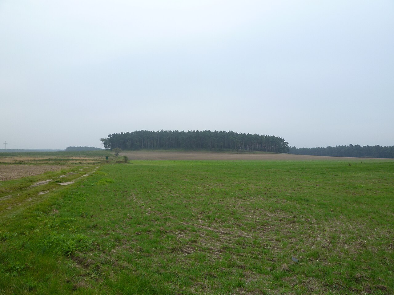 Der Saalberg, Calvörder Berge, Calvörde, Zwischen Mannhausen und Velsdorf