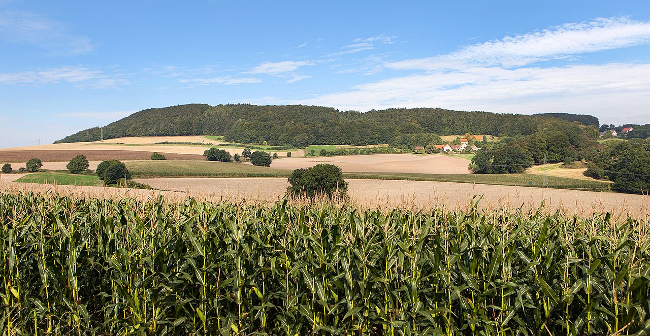 Saalegge (Berg), Stadt Vlotho, Kreis Herford, Ansicht von Ost/Südost