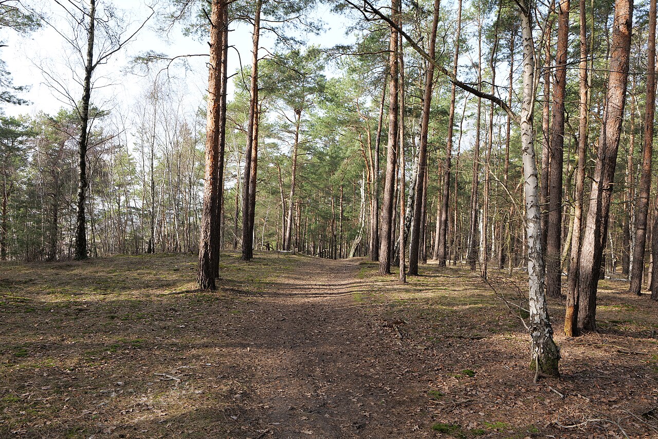 SAC Saarmunder Berg am 24