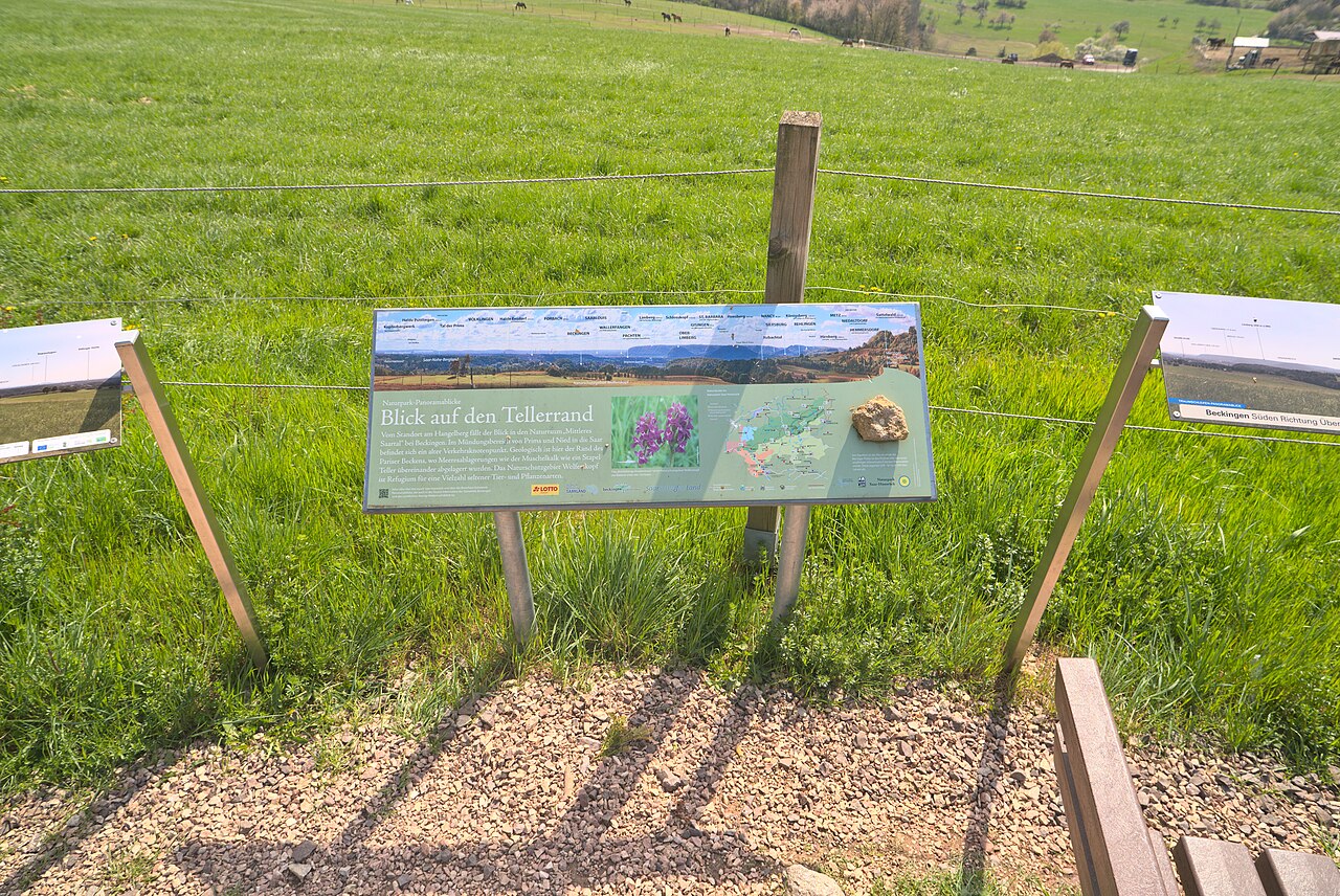 Eine Orientierungstafel am Saartalblick im Naturschutzgebiet Wolferskopf