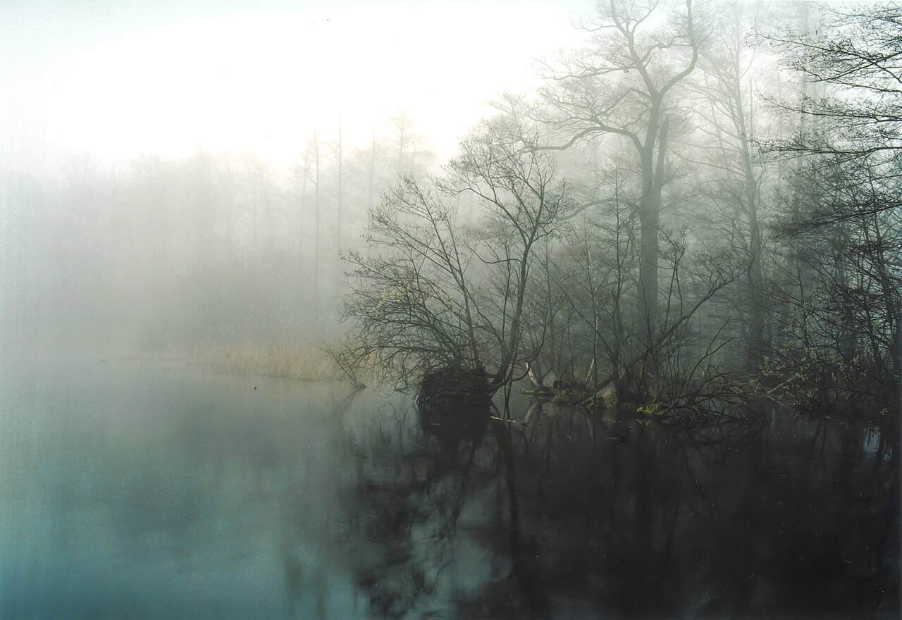 Early morning mist at Lake Sacrow, Brandenburg, Germany