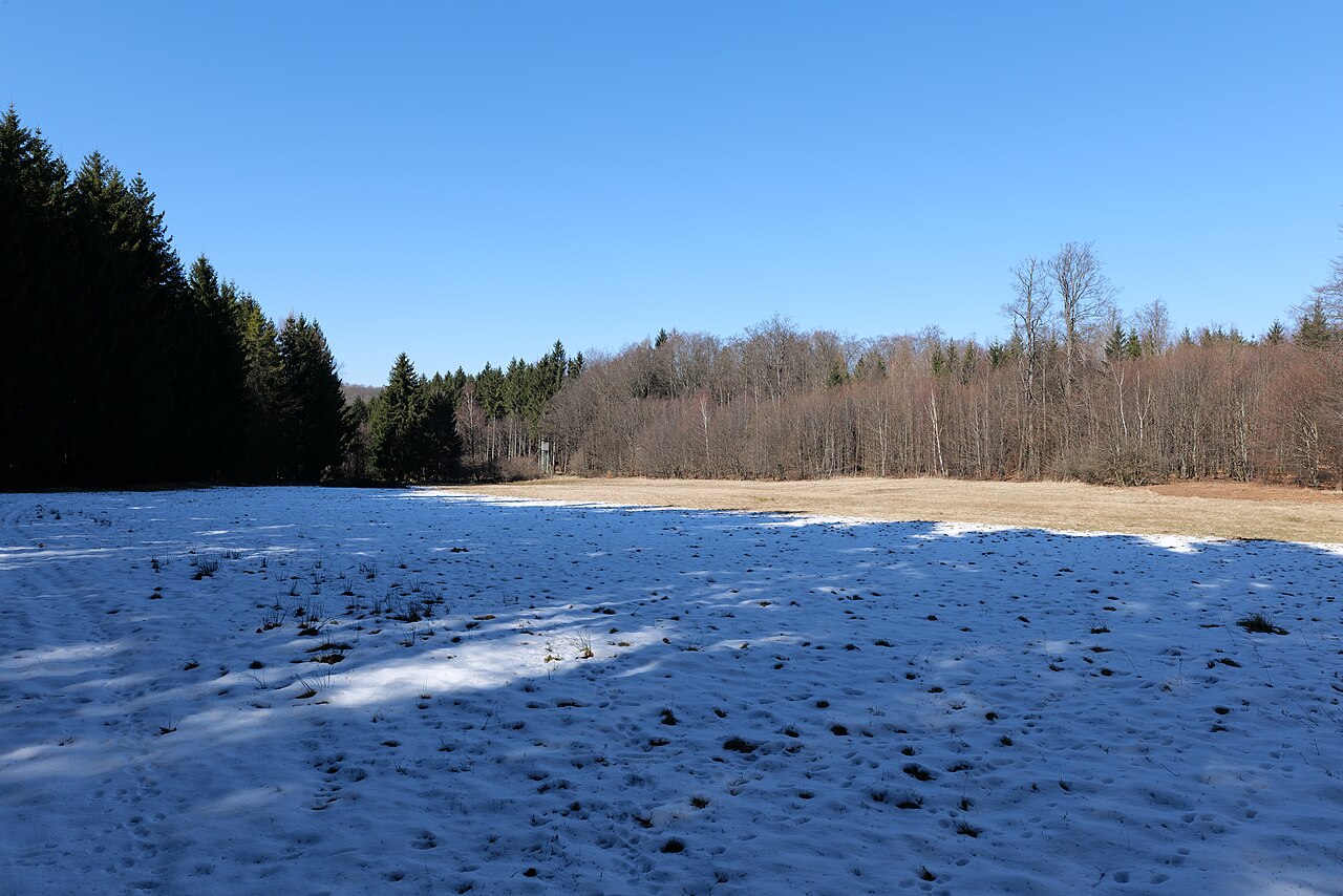 Naturschutzgebiet Sämanns- und Waschwiesen bei Seidenroth