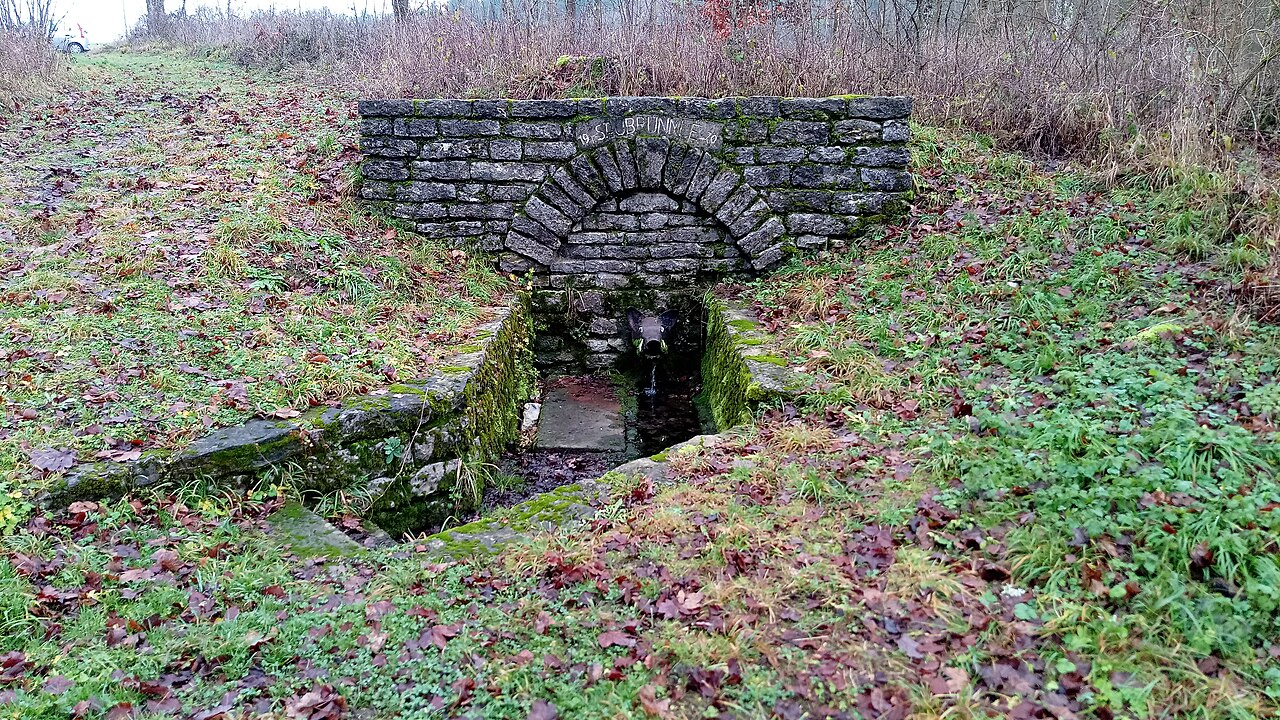Saubrünnle (Quellbrunnen auf Bofsheimer Gemarkung)