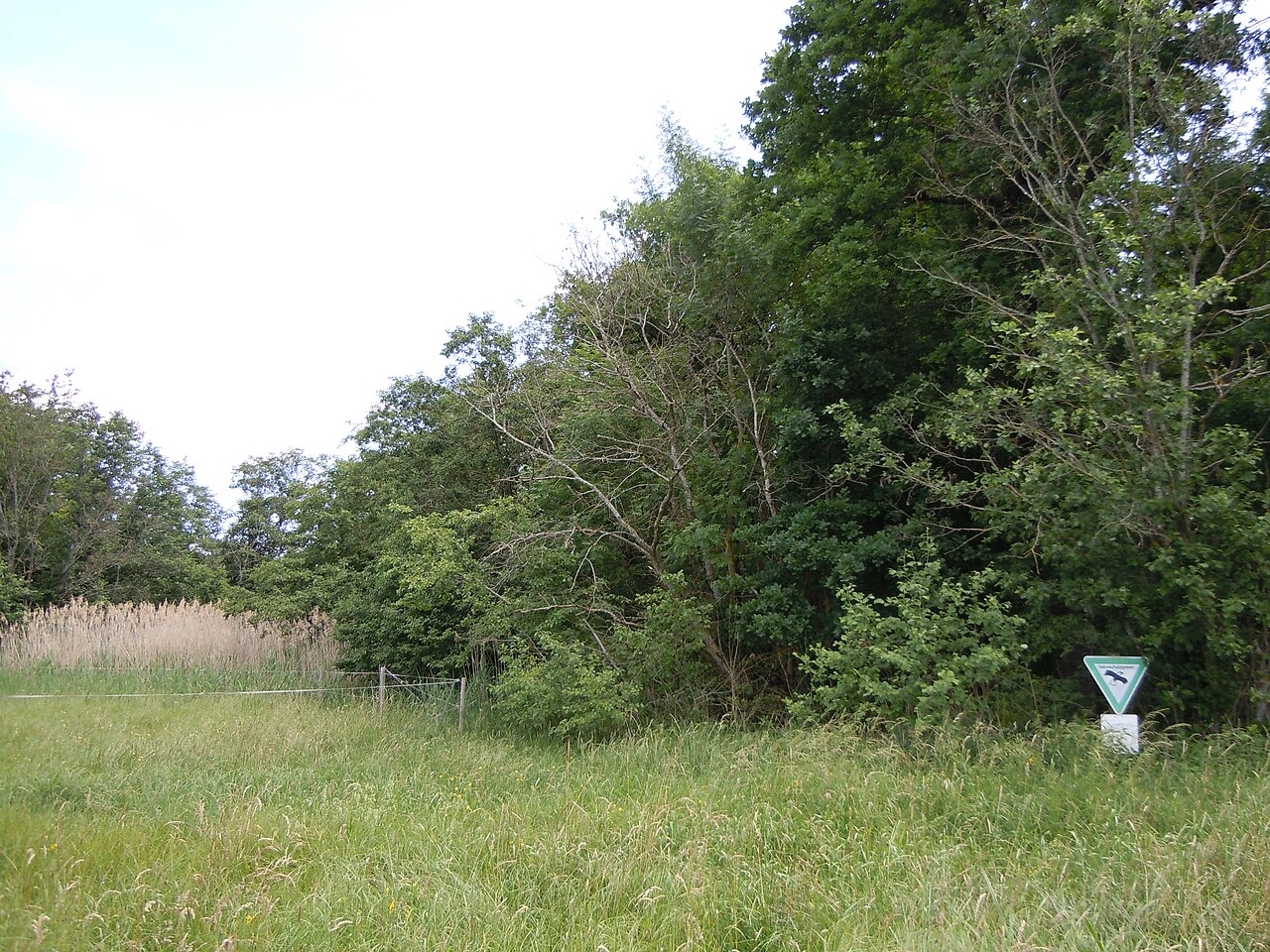 Naturschutzgebiet Salenhofweiher
