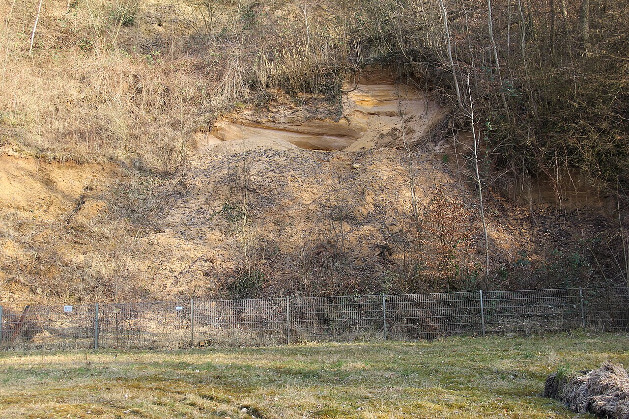 Naturschutzgebiet „Sandgrube am Grafenrain“ (NSG 2