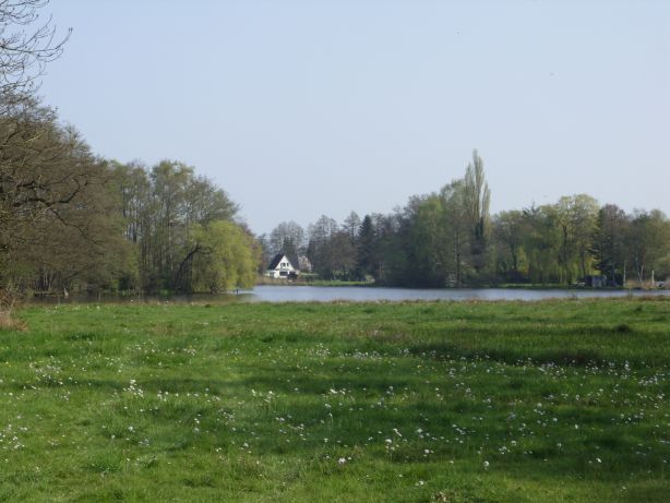 Naturschutzgebiet „Sandhauser Brake und Schwarze Brake“