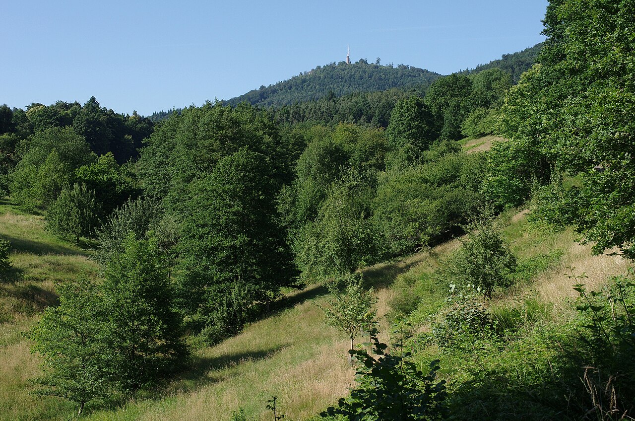 Das Primmersbachtal, Teil des Baden-Badener Naturschutzgebiets Sauersbosch, Pfrimmersbach- und Märzenbachtal