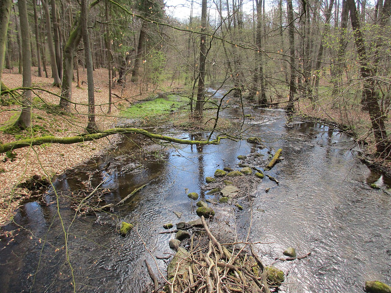 Blick von der Schaalebrücke am Ortsausgang Kogel Richtung Holzkrug, Naturschutzgebiet „Schaalelauf“