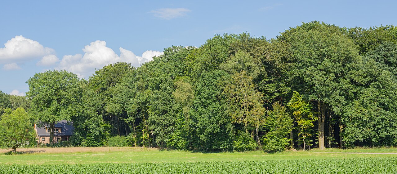 Foto von Schachsel