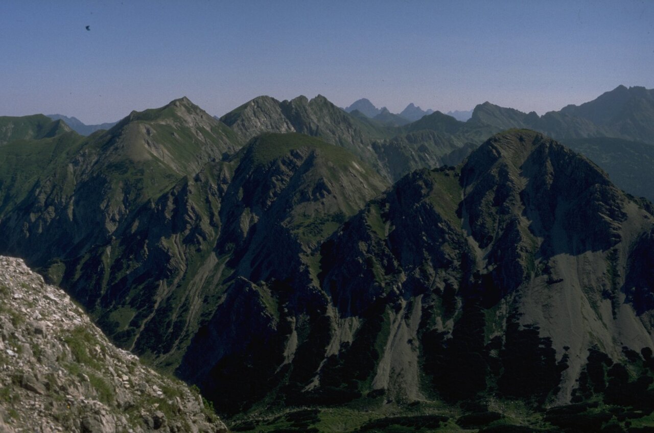Schänzlekopf vom Sattelkopf