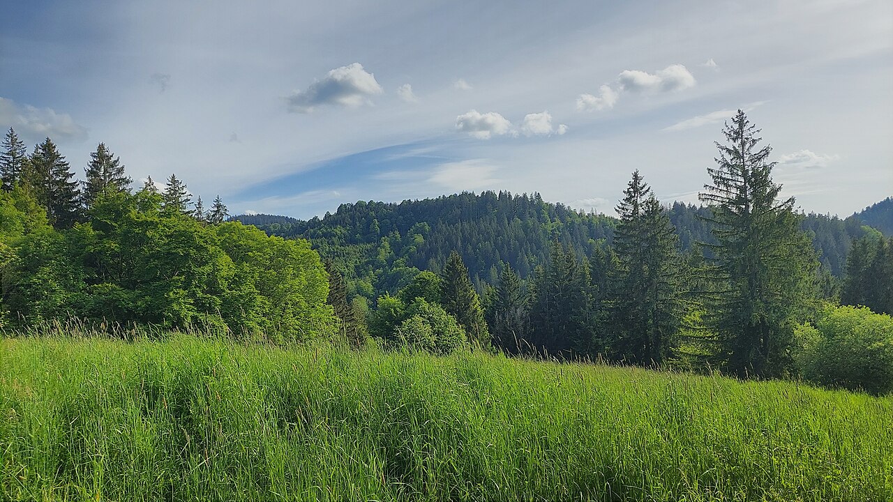 Schafberg, view from northeast
