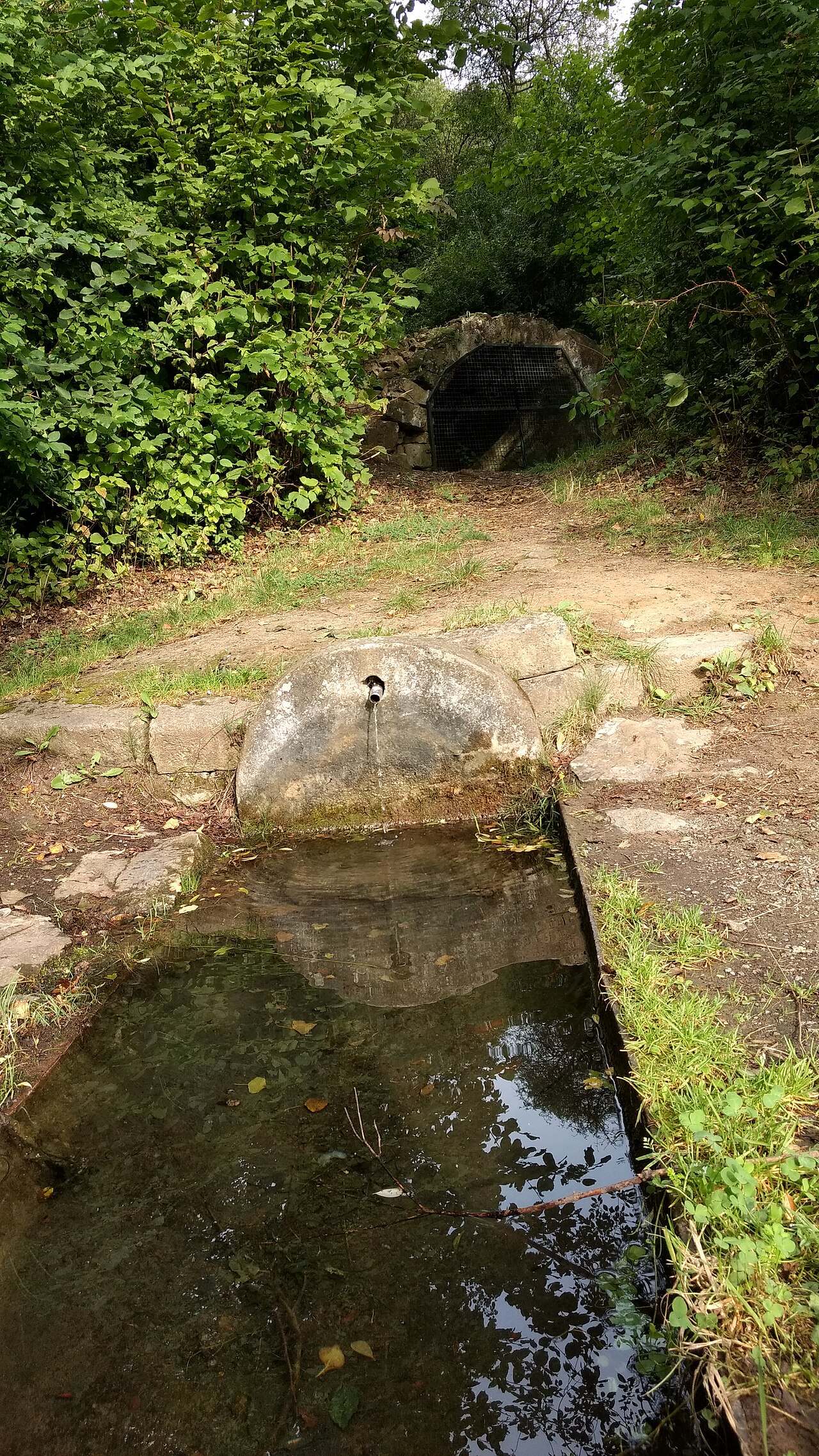 Der Schafbrunnen mit Blick vom See in Richtung Tränke und Quelle