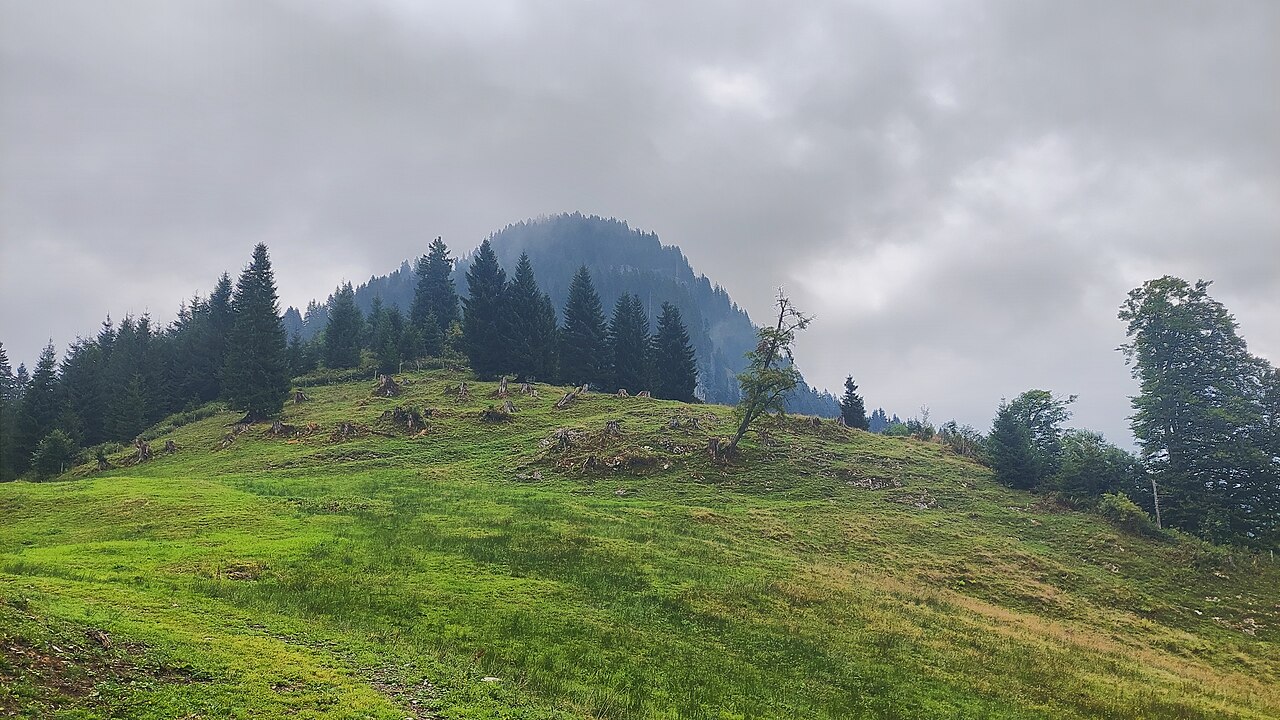 Schafkopf in the Allgäu Alps