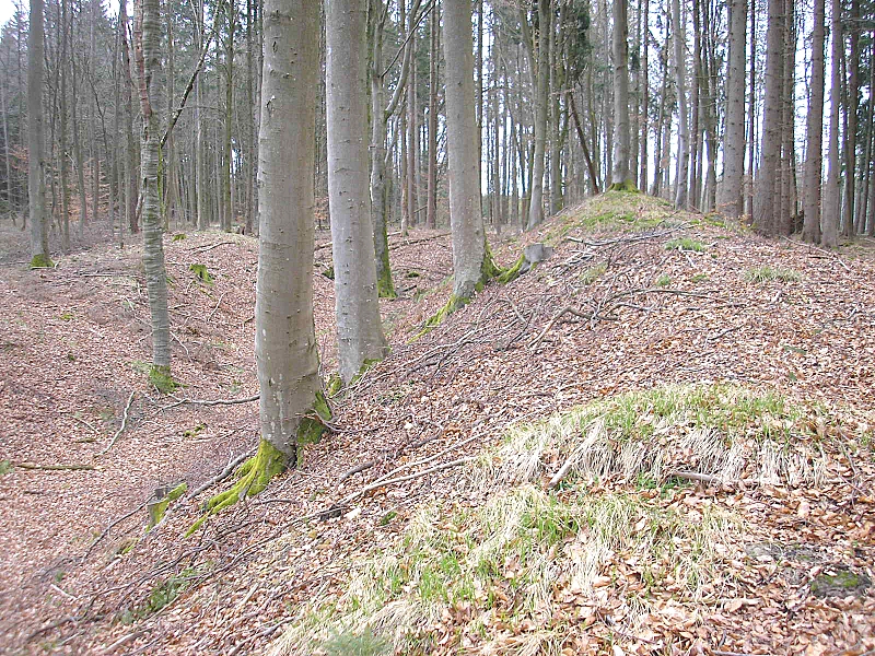 Frühmittelalterliche Schanze Wagesenberg bei Pöttmes (Landkreis Aichach-Friedberg, Bayerisch-Schwaben)