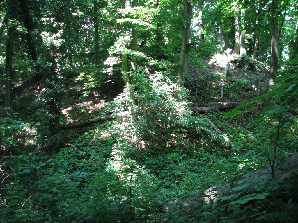 Hirschburg an der Bergstraße in Hirschberg -Leuterhausen