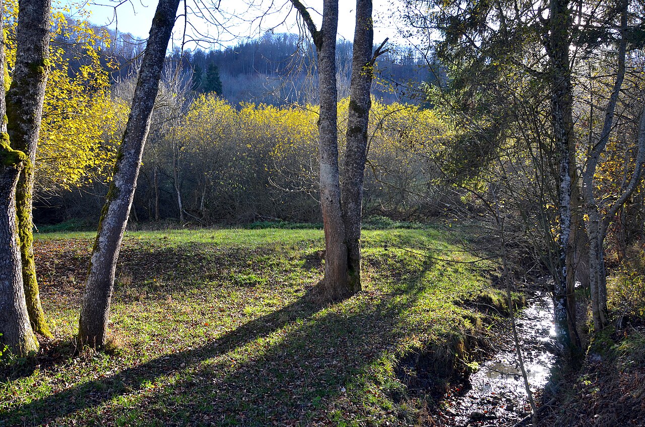 Foto von Scharlenbachtal-Hofwald