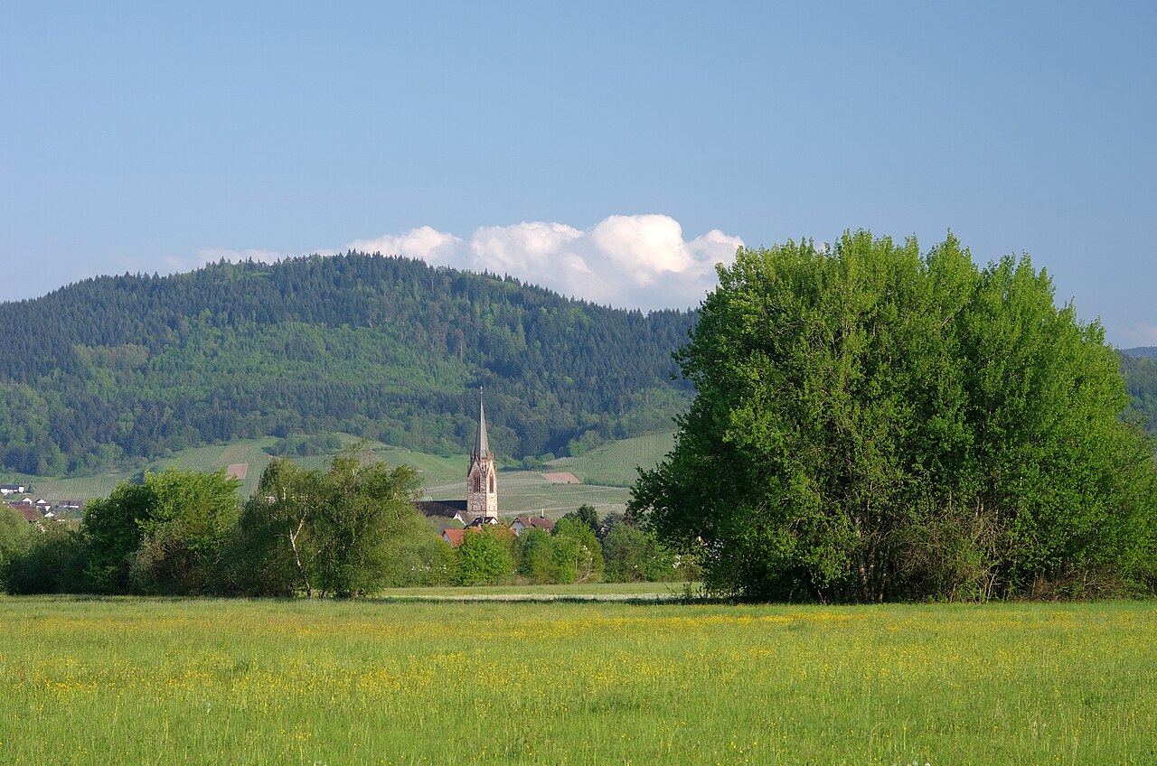 Im Landschaftsschutzgebiet Korbmatten Baden-Baden (vorne), in der Bildmitte der Kirchturm von St