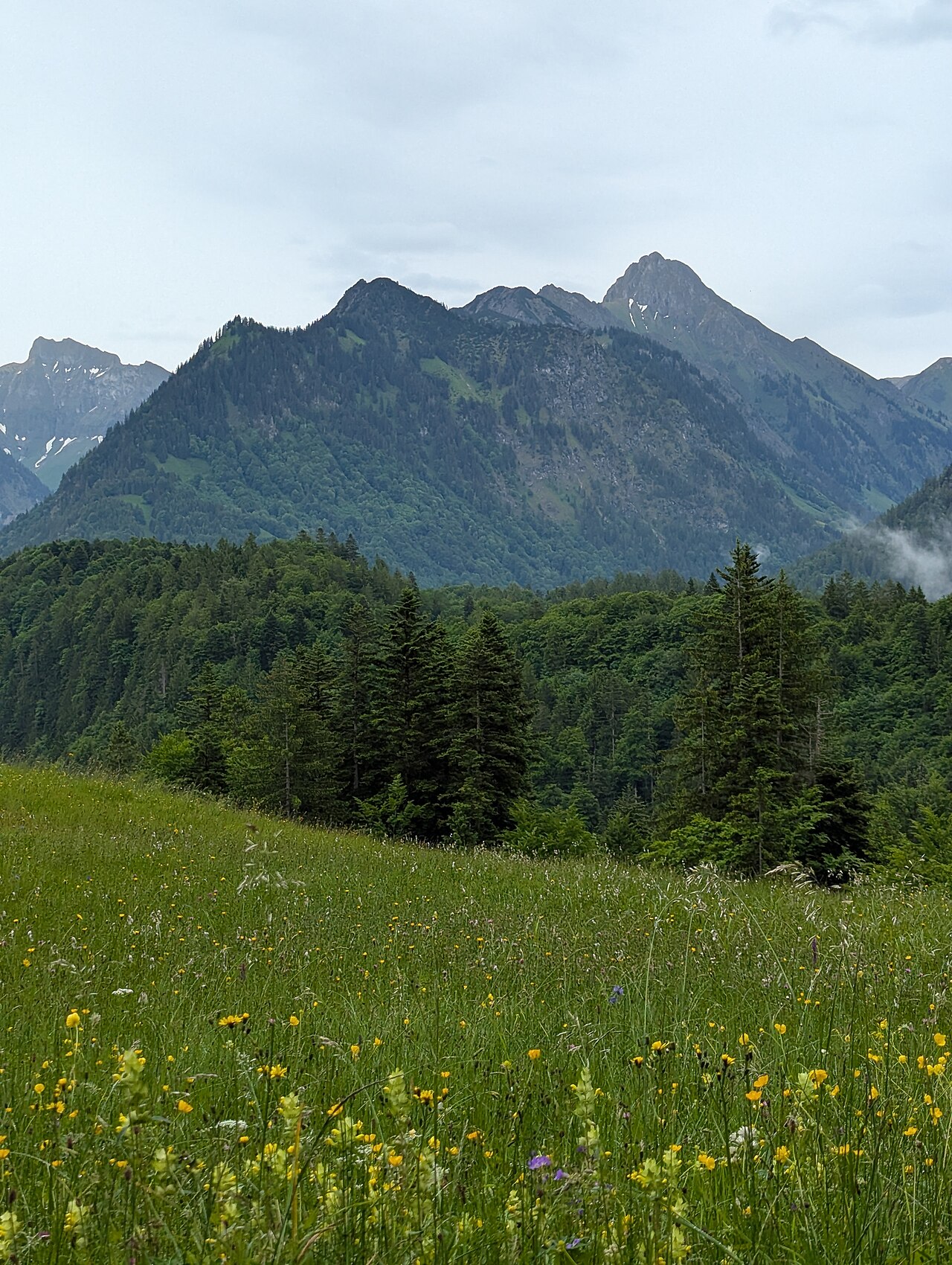 Schattenberg Westgipfel (Nebengipfel des Schattenbergs in den Allgäuer Alpen in Bayern)