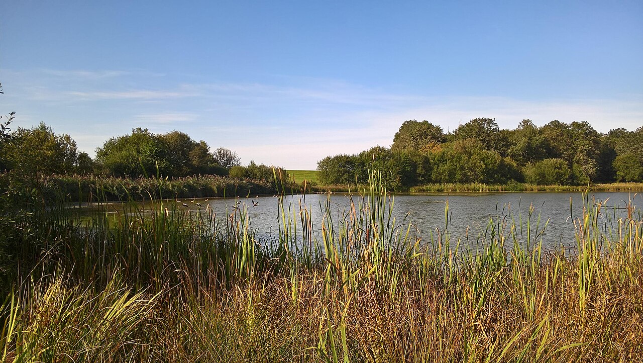 Naturschutzgebiet zwischen Kocher und Lein