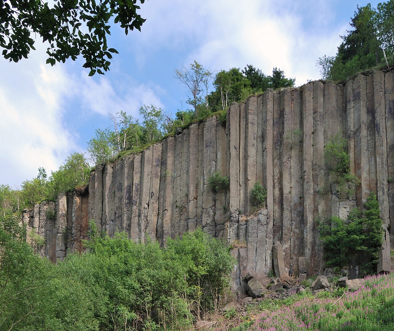 Basalt columns (named also organ pipes ) on Scheibenberg , in Ore Mountains in Saxony, Germany